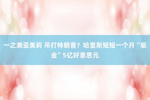 一之濑亚美莉 吊打特朗普？哈里斯短短一个月“吸金”5亿好意思元