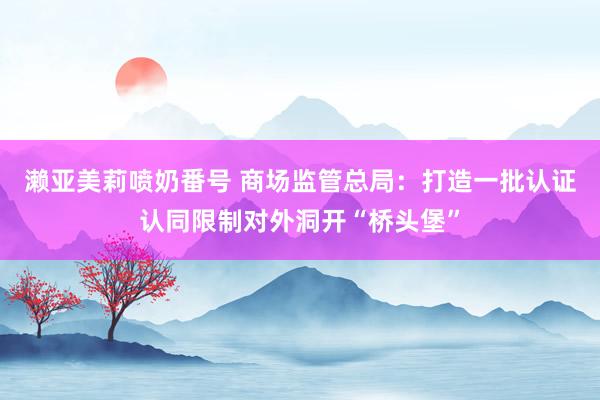 濑亚美莉喷奶番号 商场监管总局：打造一批认证认同限制对外洞开“桥头堡”
