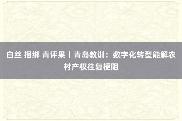 白丝 捆绑 青评果丨青岛教训：数字化转型能解农村产权往复梗阻