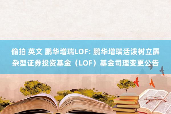 偷拍 英文 鹏华增瑞LOF: 鹏华增瑞活泼树立羼杂型证券投资基金(LOF)基金司理变更公告