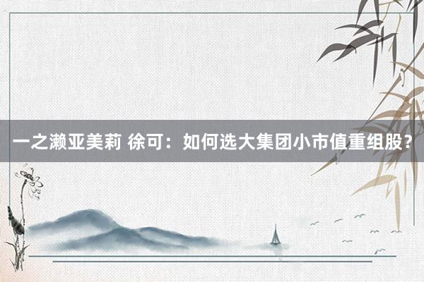 一之濑亚美莉 徐可:如何选大集团小市值重组股?