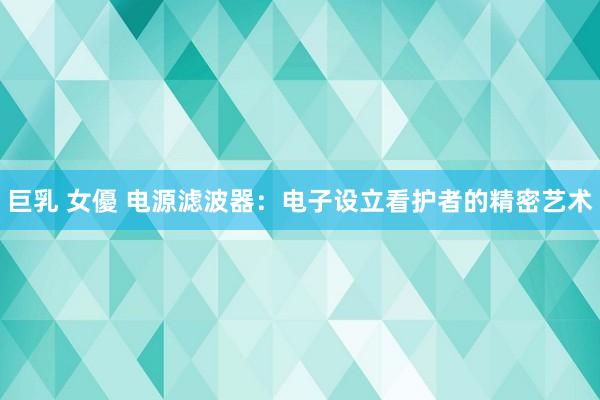 巨乳 女優 电源滤波器：电子设立看护者的精密艺术