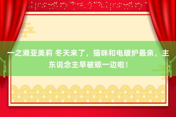 一之濑亚美莉 冬天来了，猫咪和电暖炉最亲，主东说念主早被晾一边啦！