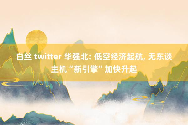 白丝 twitter 华强北: 低空经济起航， 无东谈主机“新引擎”加快升起