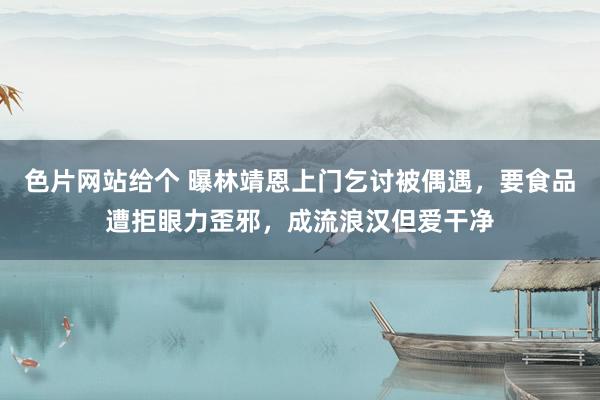 色片网站给个 曝林靖恩上门乞讨被偶遇，要食品遭拒眼力歪邪，成流浪汉但爱干净