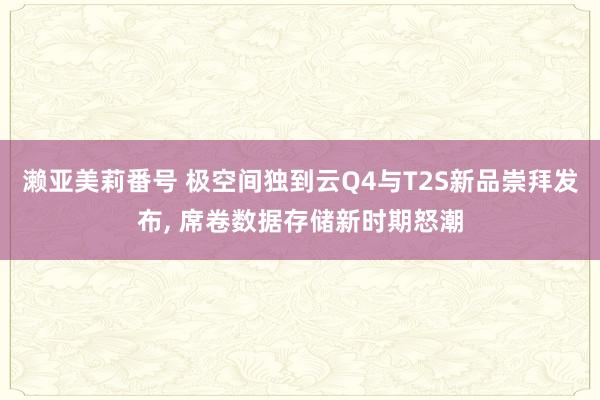 濑亚美莉番号 极空间独到云Q4与T2S新品崇拜发布， 席卷数据存储新时期怒潮