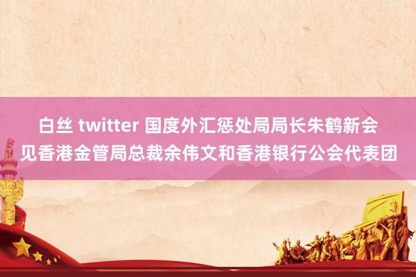 白丝 twitter 国度外汇惩处局局长朱鹤新会见香港金管局总裁余伟文和香港银行公会代表团