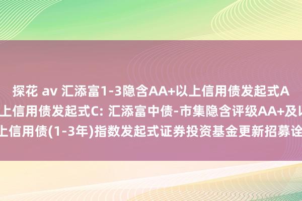 探花 av 汇添富1-3隐含AA+以上信用债发起式A,汇添富1-3隐含AA+以上信用债发起式C: 汇添富中债-市集隐含评级AA+及以上信用债(1-3年)指数发起式证券投资基金更新招募诠释书(2024年12月19日更新)
