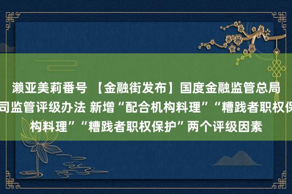 濑亚美莉番号 【金融街发布】国度金融监管总局：窜改糟践金融公司监管评级办法 新增“配合机构料理”“糟践者职权保护”两个评级因素