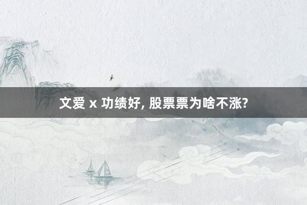 文爱 x 功绩好， 股票票为啥不涨?