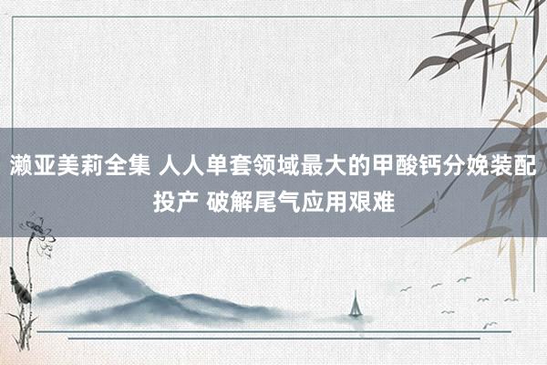 濑亚美莉全集 人人单套领域最大的甲酸钙分娩装配投产 破解尾气应用艰难