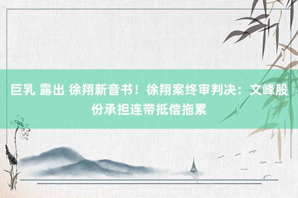巨乳 露出 徐翔新音书！徐翔案终审判决：文峰股份承担连带抵偿拖累