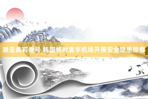 濑亚美莉番号 韩国将对寰宇机场开展安全隐患排查