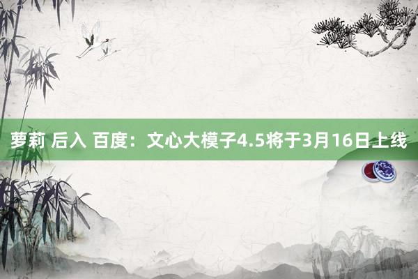 萝莉 后入 百度：文心大模子4.5将于3月16日上线