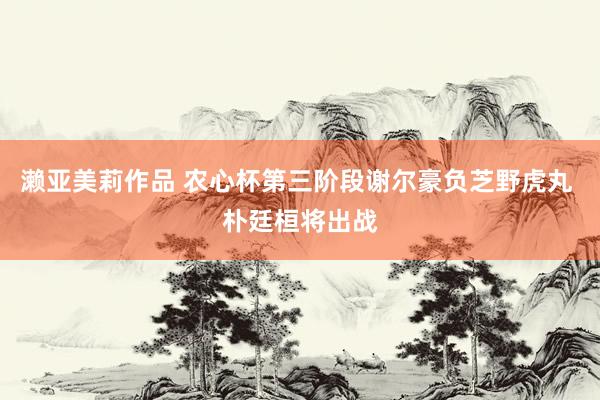 濑亚美莉作品 农心杯第三阶段谢尔豪负芝野虎丸 朴廷桓将出战