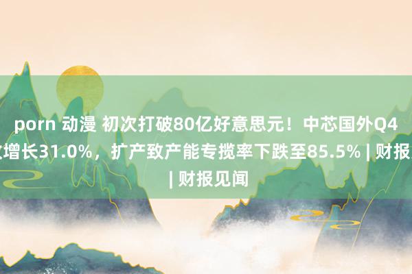 porn 动漫 初次打破80亿好意思元！中芯国外Q4营收增长31.0%，扩产致产能专揽率下跌至85.5% | 财报见闻