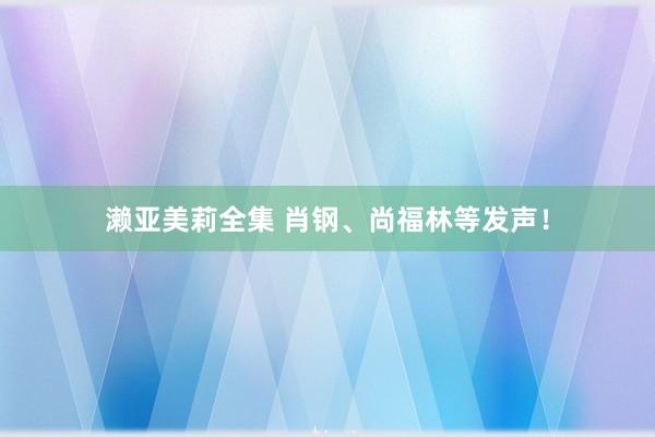 濑亚美莉全集 肖钢、尚福林等发声！