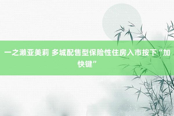 一之濑亚美莉 多城配售型保险性住房入市按下“加快键”
