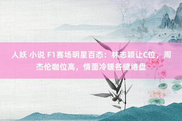 人妖 小说 F1赛场明星百态：林志颖让C位，周杰伦咖位高，情面冷暖各缱绻盘