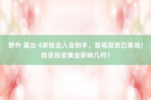 野外 露出 4家险企入会到手，首笔投资已落地！险资投资黄金影响几何？