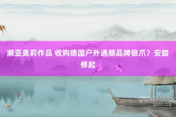 濑亚美莉作品 收购德国户外通顺品牌狼爪？安踏修起