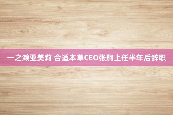 一之濑亚美莉 合适本草CEO张舸上任半年后辞职