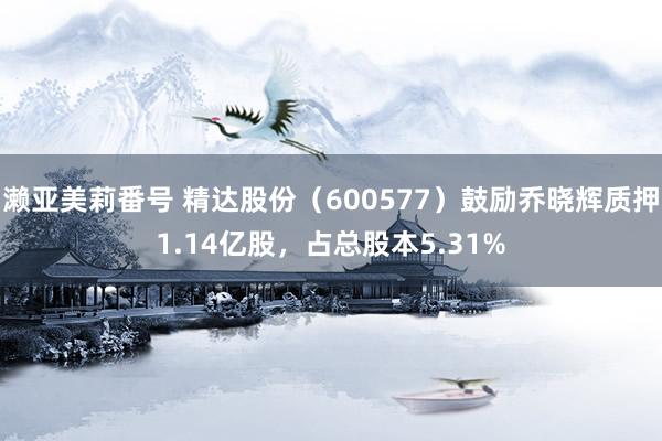 濑亚美莉番号 精达股份（600577）鼓励乔晓辉质押1.14亿股，占总股本5.31%