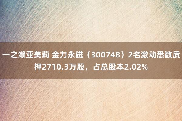 一之濑亚美莉 金力永磁（300748）2名激动悉数质押2710.3万股，占总股本2.02%