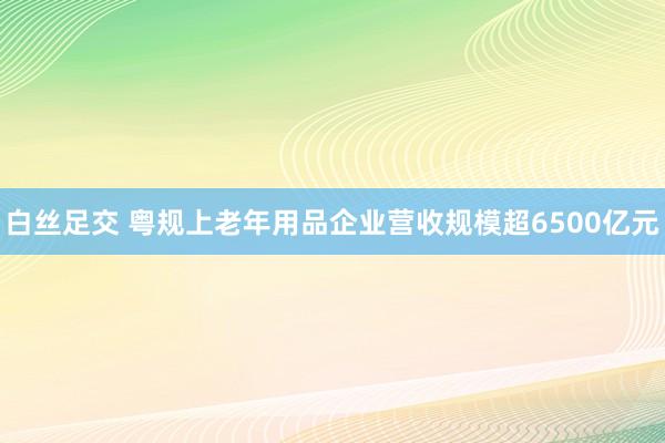 白丝足交 粤规上老年用品企业营收规模超6500亿元