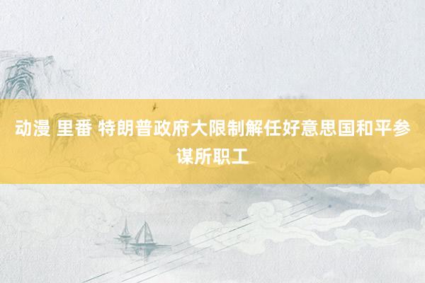 动漫 里番 特朗普政府大限制解任好意思国和平参谋所职工