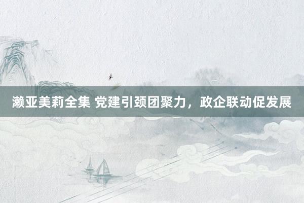 濑亚美莉全集 党建引颈团聚力，政企联动促发展