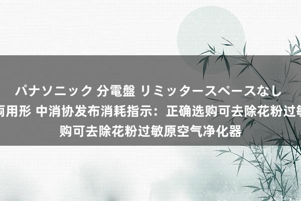 パナソニック 分電盤 リミッタースペースなし 露出・半埋込両用形 中消协发布消耗指示：正确选购可去除花粉过敏原空气净化器