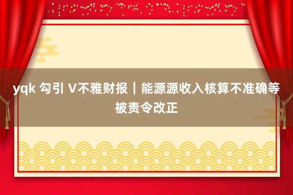 yqk 勾引 V不雅财报｜能源源收入核算不准确等被责令改正