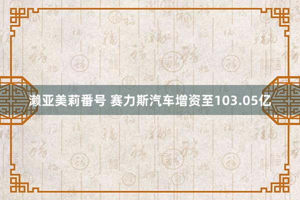 濑亚美莉番号 赛力斯汽车增资至103.05亿