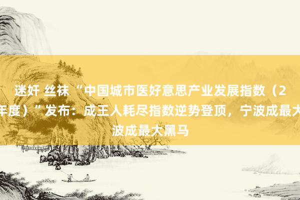 迷奸 丝袜 “中国城市医好意思产业发展指数（2024年度）”发布：成王人耗尽指数逆势登顶，宁波成最大黑马