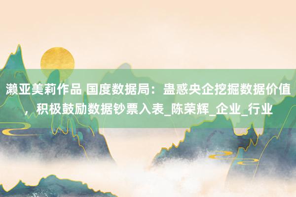 濑亚美莉作品 国度数据局：蛊惑央企挖掘数据价值，积极鼓励数据钞票入表_陈荣辉_企业_行业