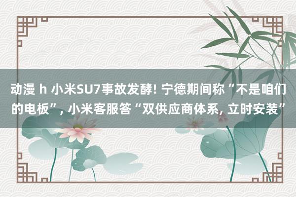 动漫 h 小米SU7事故发酵! 宁德期间称“不是咱们的电板”， 小米客服答“双供应商体系， 立时安装”