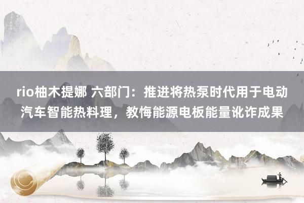 rio柚木提娜 六部门：推进将热泵时代用于电动汽车智能热料理，教悔能源电板能量讹诈成果