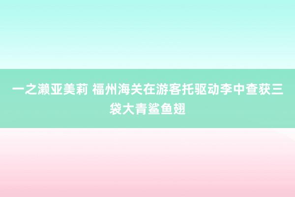 一之濑亚美莉 福州海关在游客托驱动李中查获三袋大青鲨鱼翅