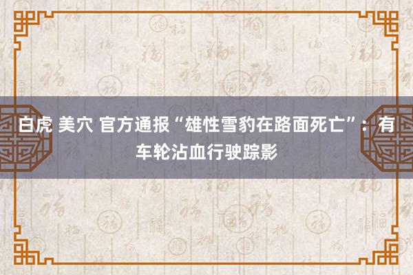 白虎 美穴 官方通报“雄性雪豹在路面死亡”：有车轮沾血行驶踪影