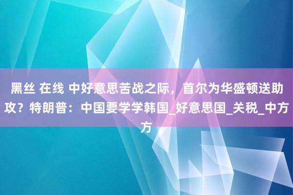 黑丝 在线 中好意思苦战之际，首尔为华盛顿送助攻？特朗普：中国要学学韩国_好意思国_关税_中方