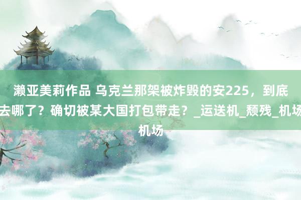 濑亚美莉作品 乌克兰那架被炸毁的安225，到底去哪了？确切被某大国打包带走？_运送机_颓残_机场