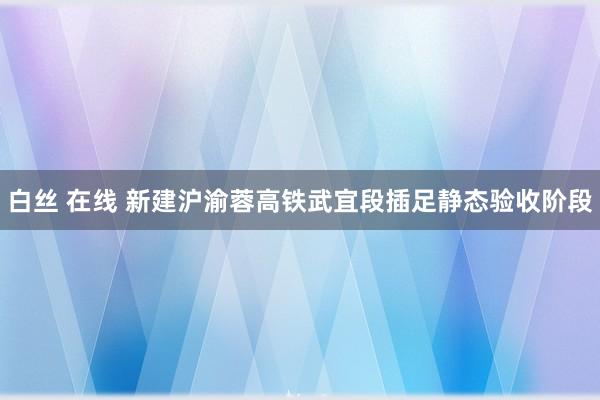 白丝 在线 新建沪渝蓉高铁武宜段插足静态验收阶段