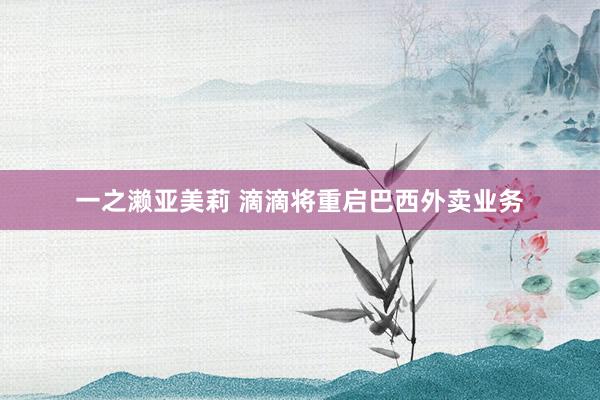 一之濑亚美莉 滴滴将重启巴西外卖业务