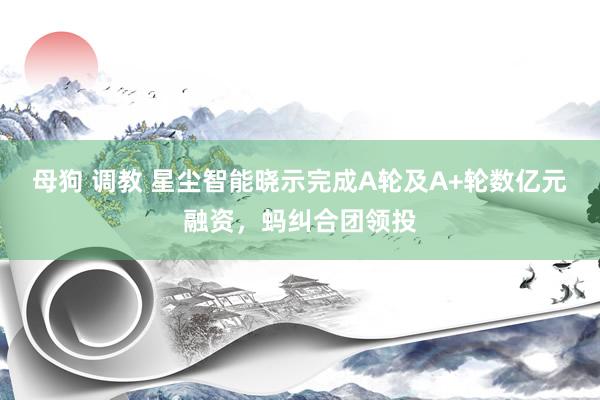 母狗 调教 星尘智能晓示完成A轮及A+轮数亿元融资，蚂纠合团领投