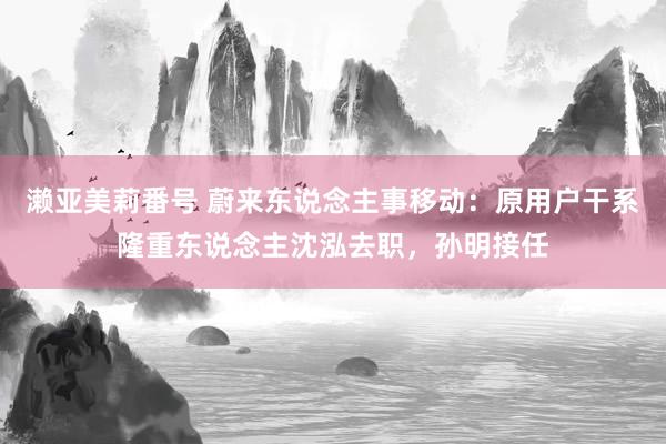 濑亚美莉番号 蔚来东说念主事移动：原用户干系隆重东说念主沈泓去职，孙明接任