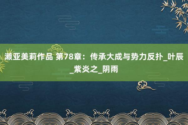 濑亚美莉作品 第78章：传承大成与势力反扑_叶辰_紫炎之_阴雨