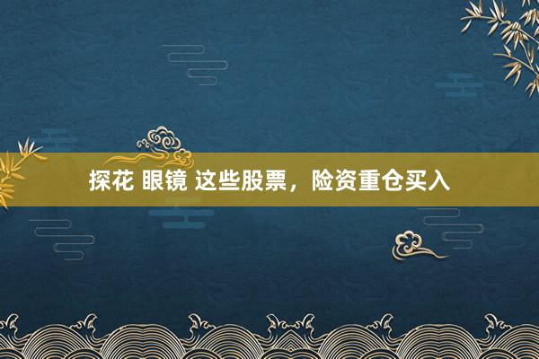 探花 眼镜 这些股票，险资重仓买入