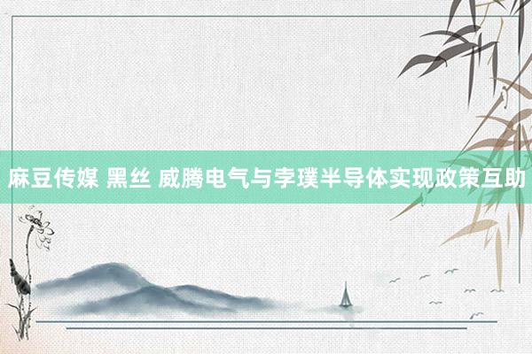 麻豆传媒 黑丝 威腾电气与孛璞半导体实现政策互助