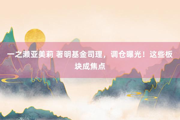 一之濑亚美莉 著明基金司理，调仓曝光！这些板块成焦点